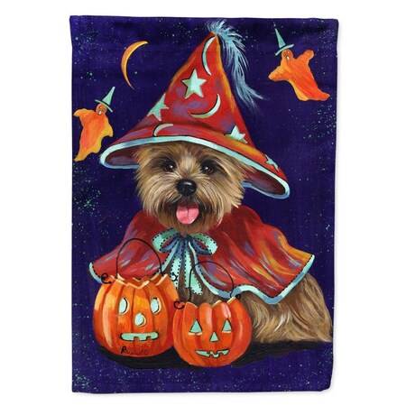Carolines Treasures 11 x 0.01 x 15 in. Cairn Terrier Halloween Witch Garden Flag PPP3061GF